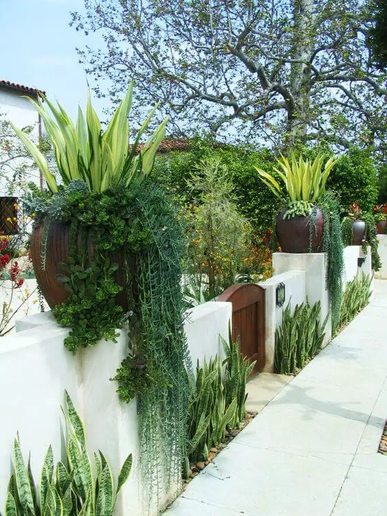 This time, succulent landscape design ideas are exactly what we meant to cover and our research promised not to disappoint our readers! Check more at backyardmastery.com