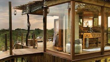 37 Luxury Adult Tree Houses You’d Like to Move Into