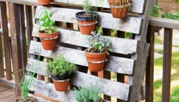 34 Backyard DIY Garden Projects You Didn’t Know You Needed