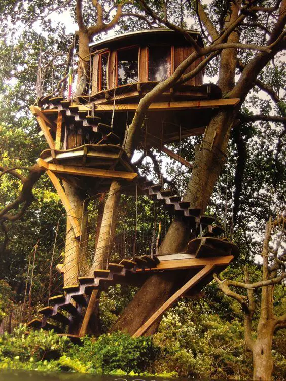 37 Luxury Tree Houses You'd Like to Move Into