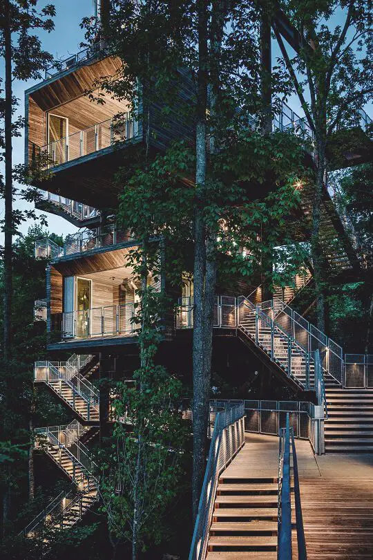 3 luxury tree houses