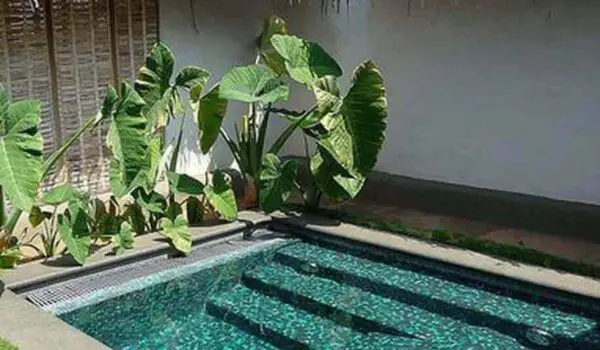 Backyard Inground Pool Ideas
