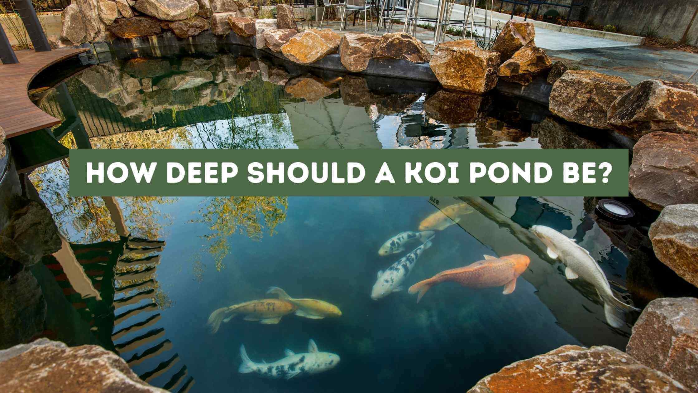 How Deep Should a Koi Pond Be