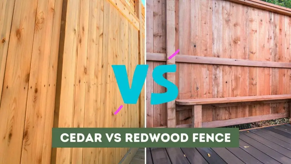 Photo of a cedar fence on the left and a redwood fence on the right. Cedar vs Redwood Fence