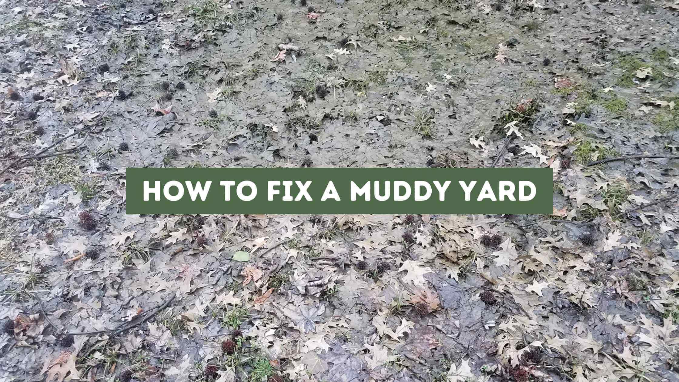 How to Fix a Muddy Yard