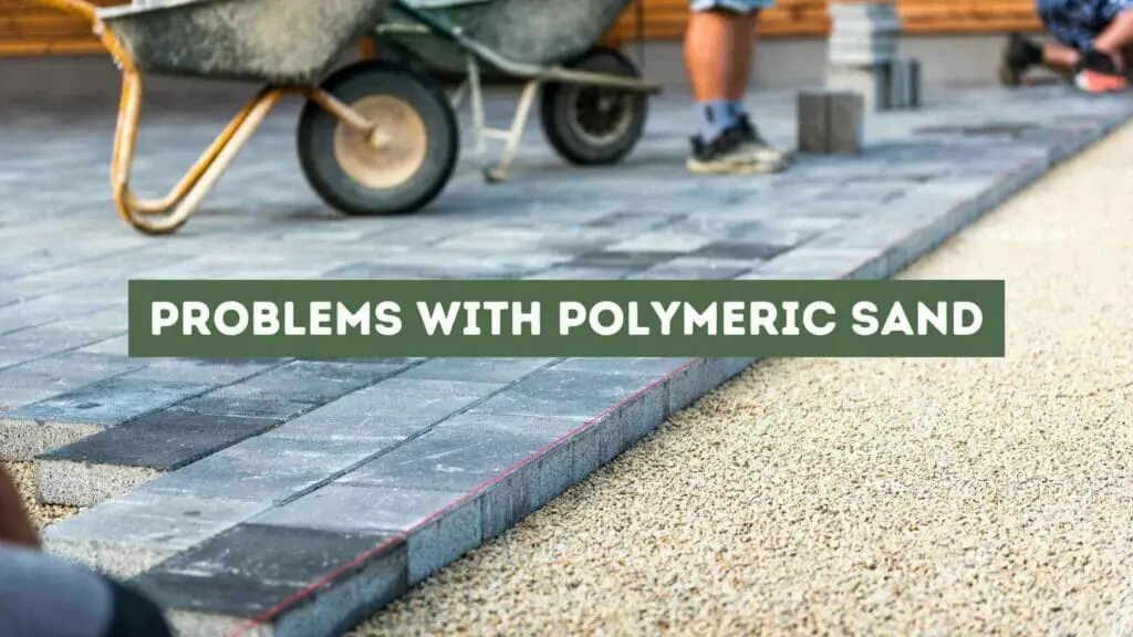 Photo of pavers being installed with polymeric sand.