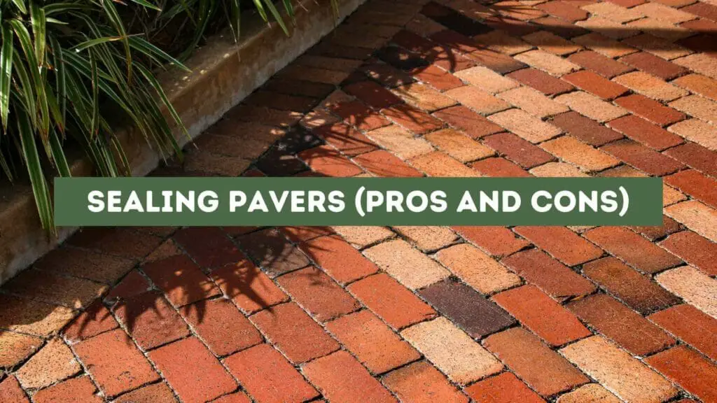 Photo of sealed pavers. Sealing Pavers (Pros and Cons).