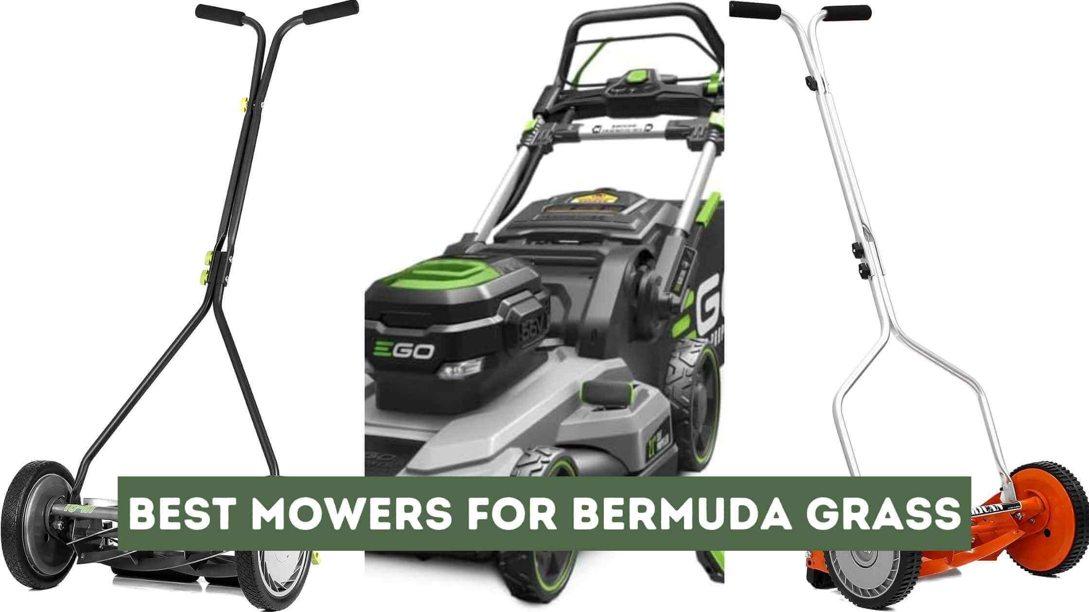Best Mowers for Bermuda Grass