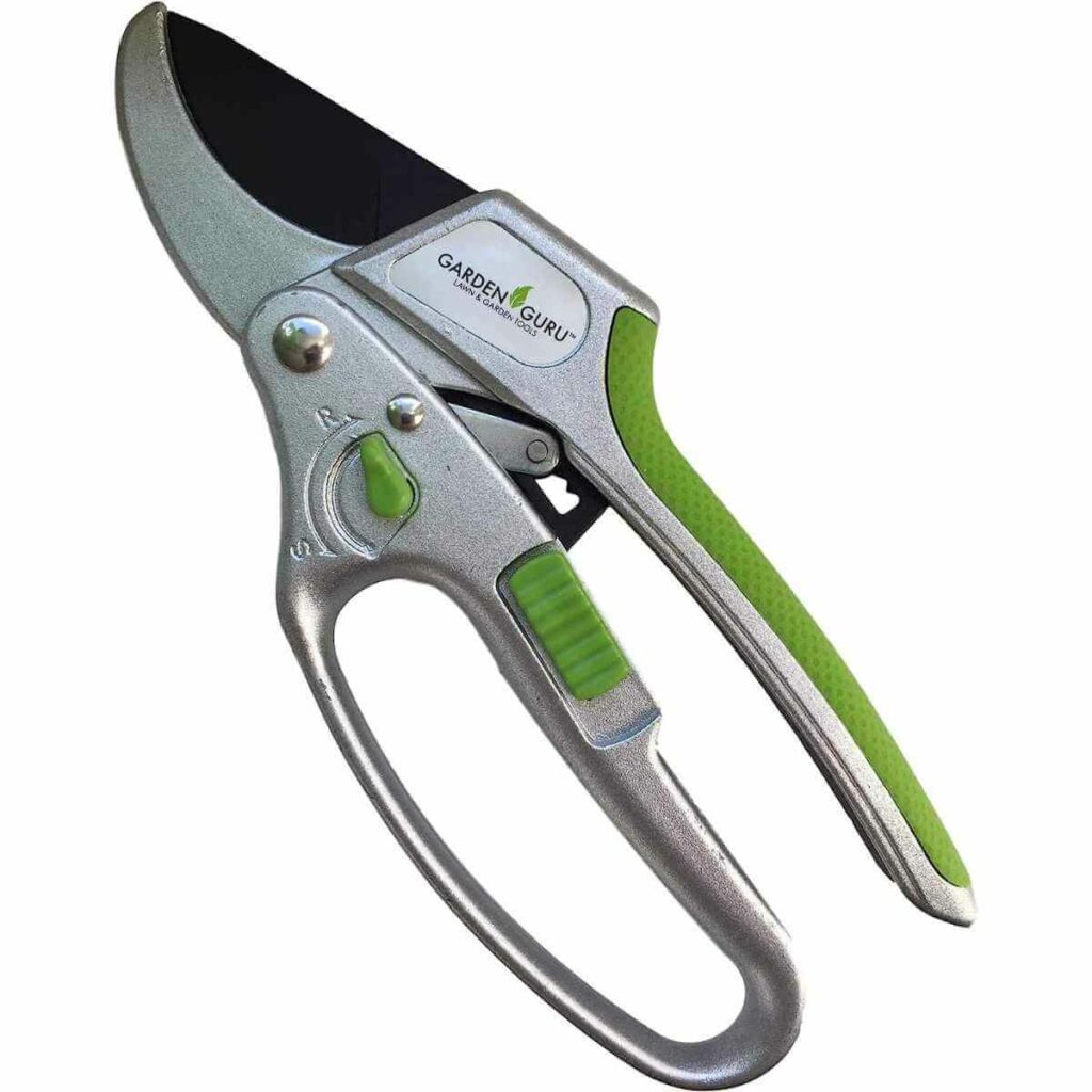 Photo of a silver and green Garden Guru 2 in 1 Ratchet Pruning Shears Clippers on a white background.