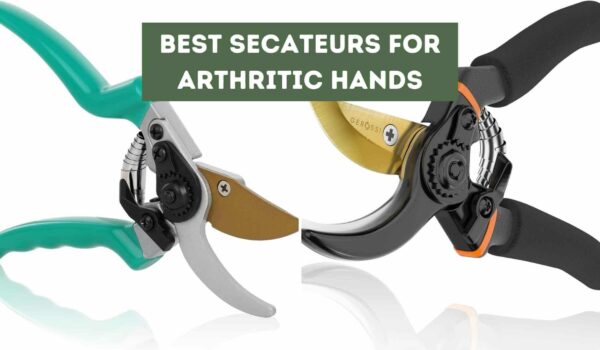 Best Secateurs for Arthritic Hands (Comfortable Gardening)