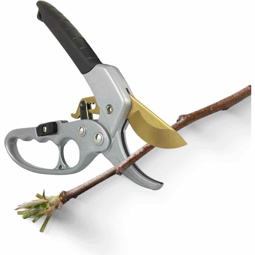 Photo of a silver Pruning Shears Ratcheting Garden Tool with gold blade on a white background.