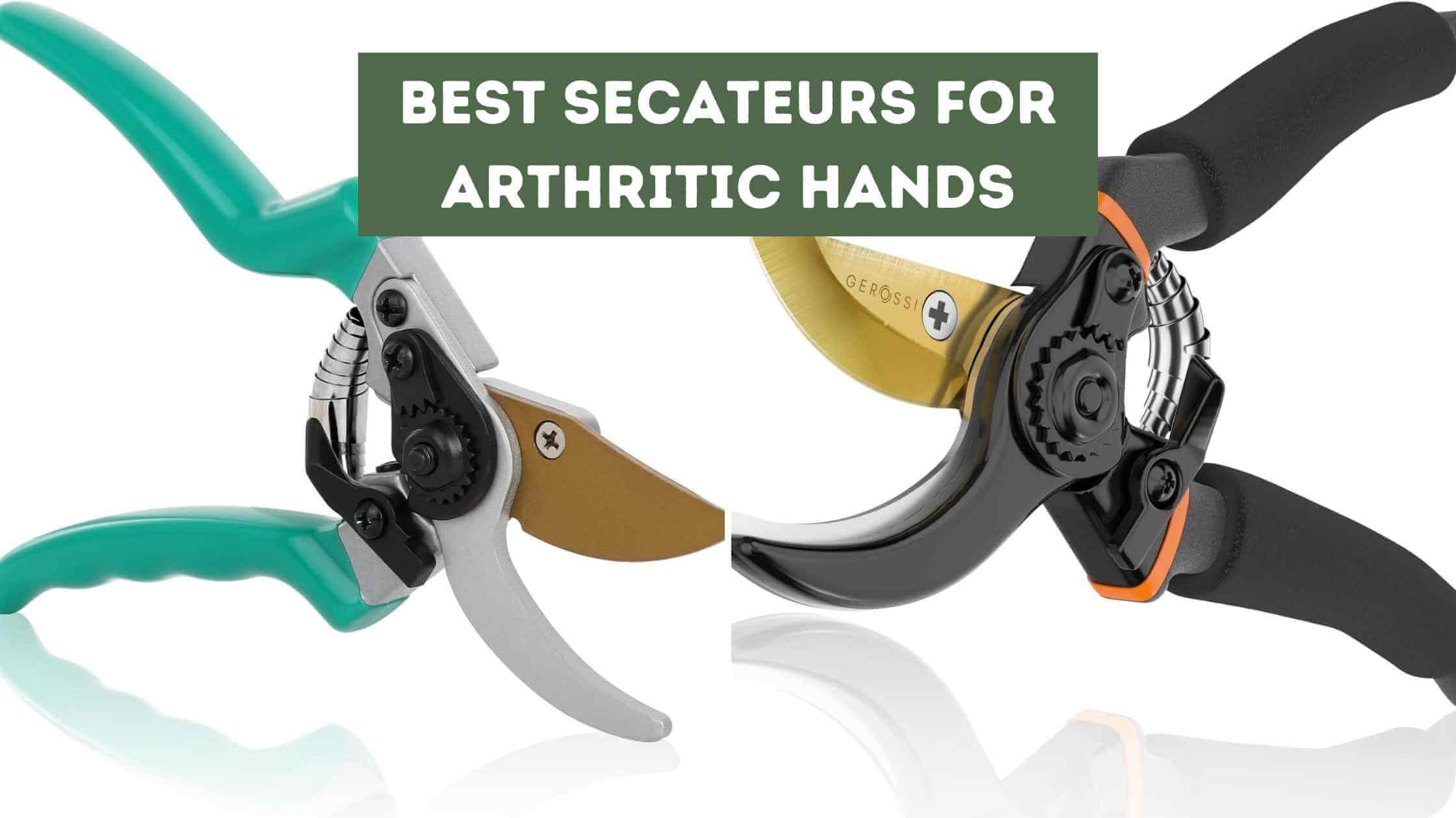 Best Secateurs for Arthritic Hands