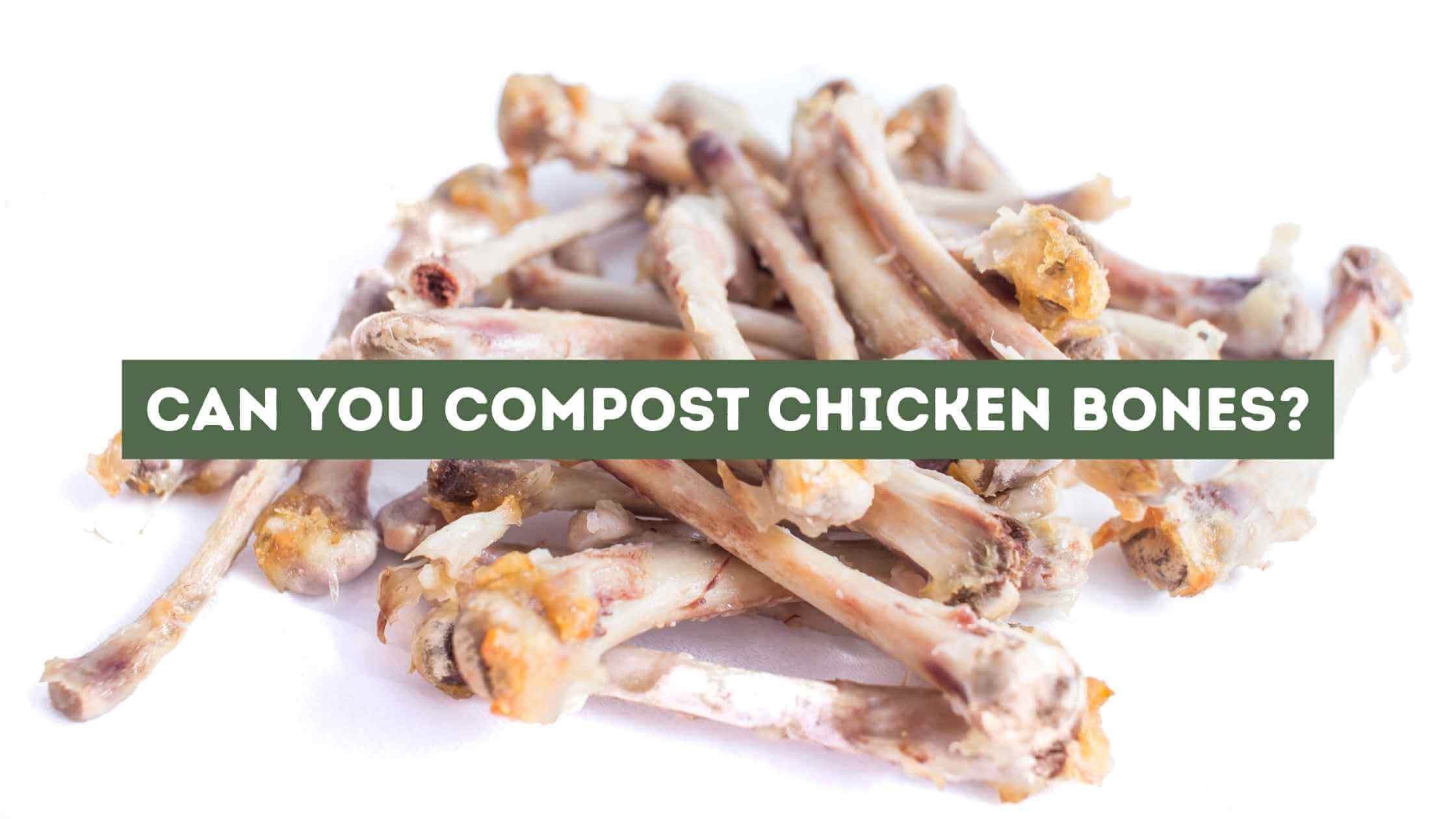 Can You Compost Chicken Bones