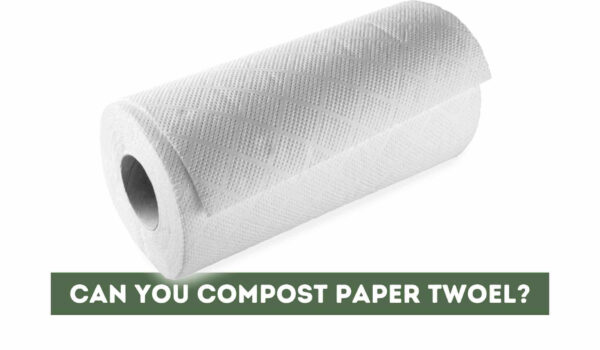 Can You Compost Paper Towel? (Answer)