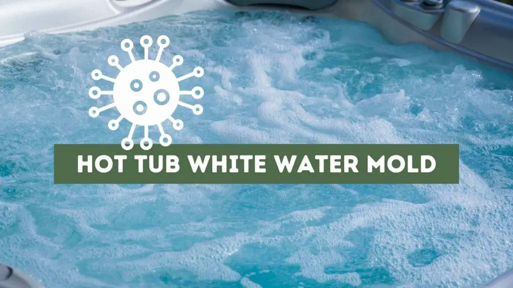 Hot tub water white foam and drawing of a white mold particle.