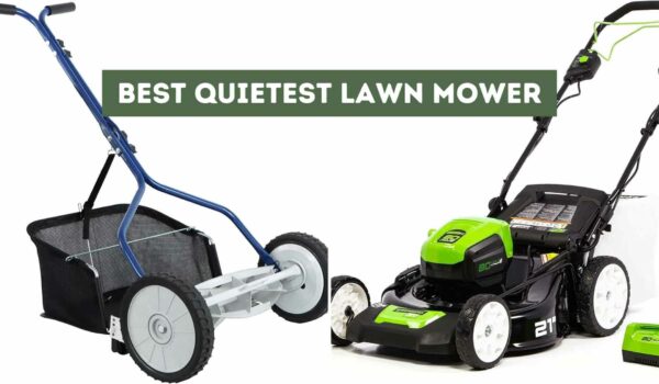 8 Best Quietest Lawn Mower (Peaceful Lawn Maintenance)