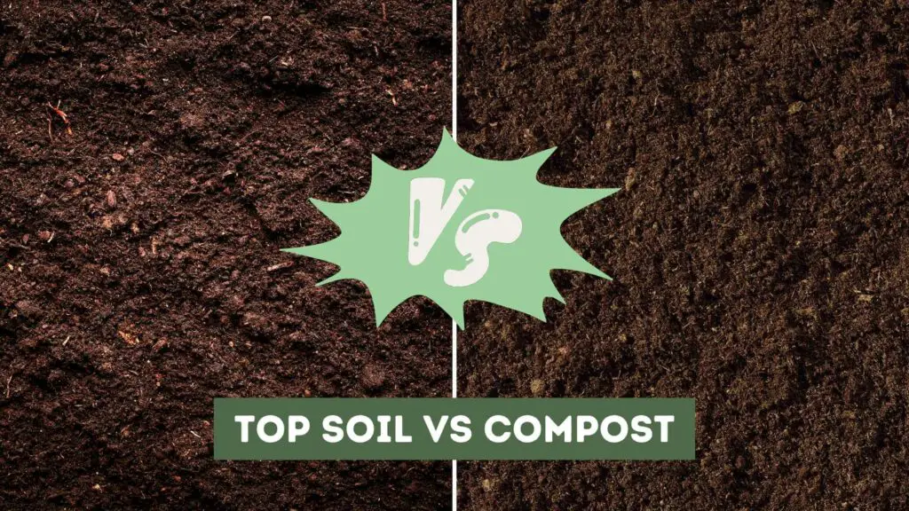 Photo of top soil on the left and compost on the right. Top Soil vs Compost.