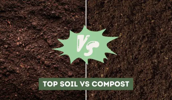 Top Soil vs Compost (Differences Explained)