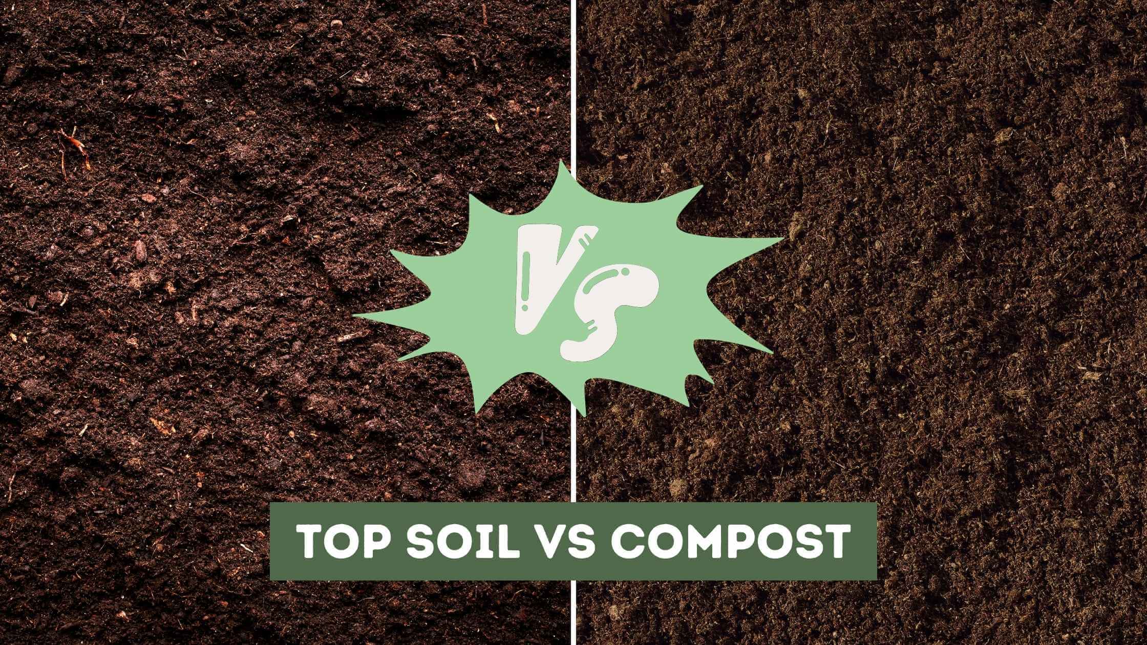 Top Soil vs Compost